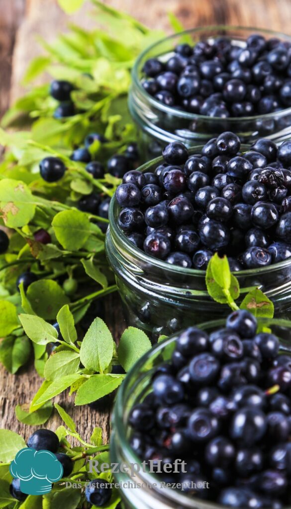 Heidelbeeren-Seite