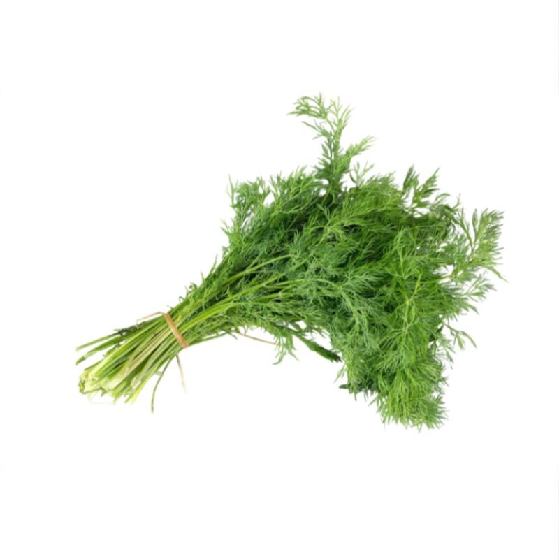 Dill