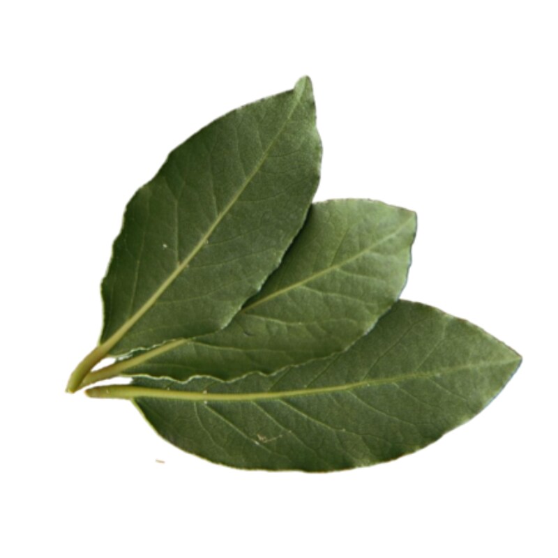Lorbeerblätter