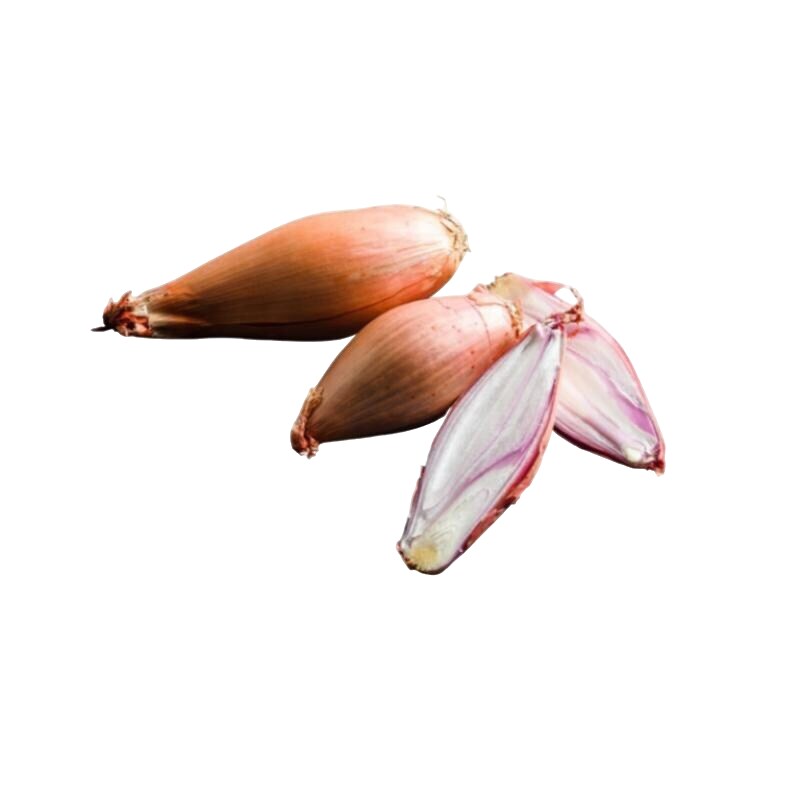 Schalotten