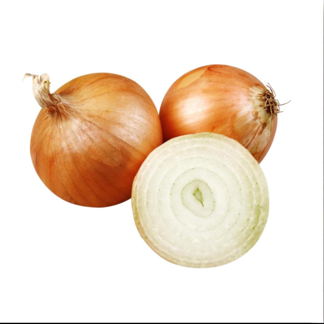 Zwiebel